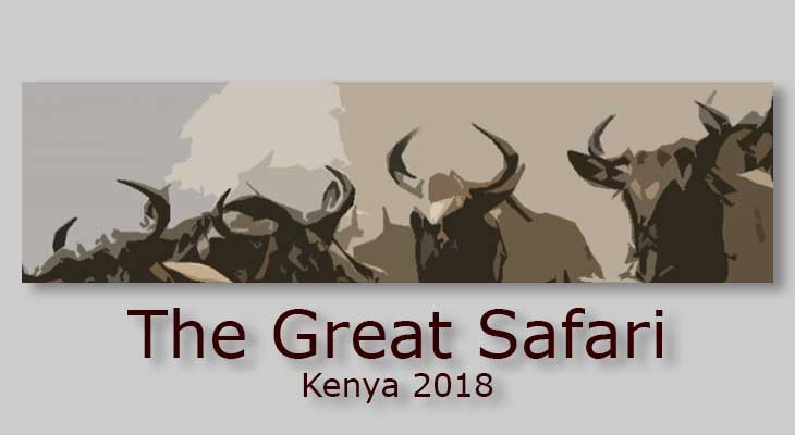 The Great Safari 2018